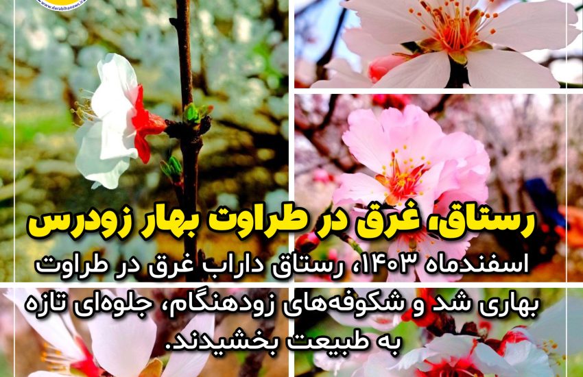 بهار زودرس در رستاق