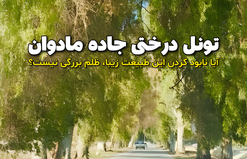 تونل درختی روستای مادوان
