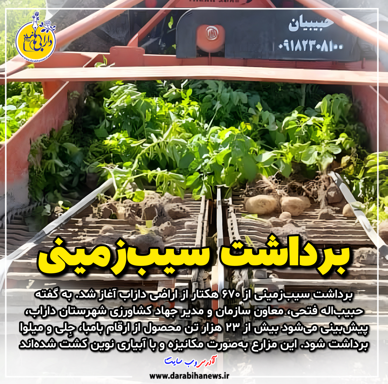 آغاز برداشت سیب‌زمینی از مزارع شهرستان داراب