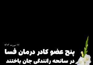 پنج عضو کادر درمان فسا در سانحه رانندگی جان باختند